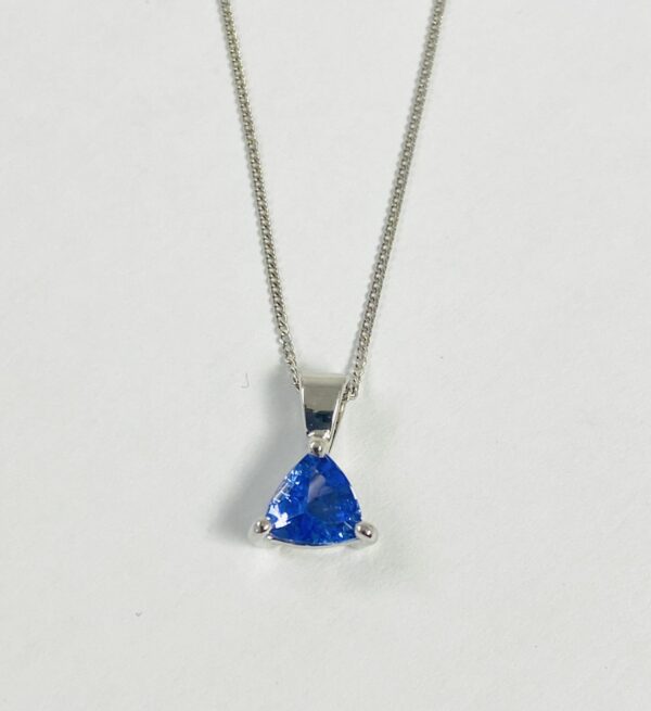 9ct Tanzanite pendant & chain